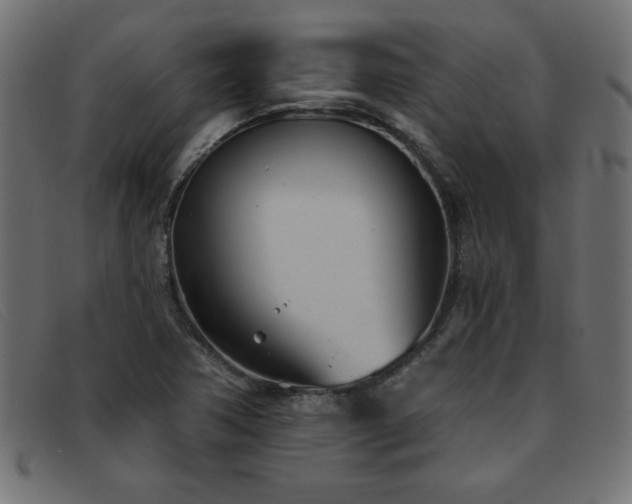 X0000093361362200710111447