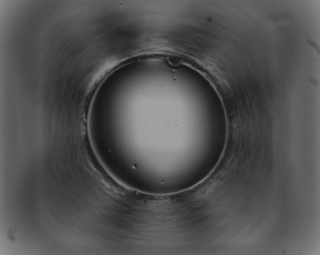 X0000093361363200710111447