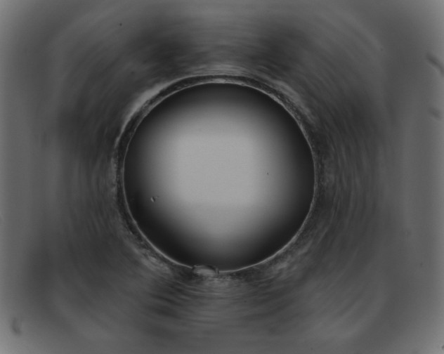 X0000093361364200710111447