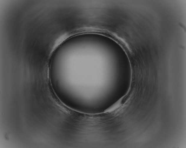 X0000093361365200710111447