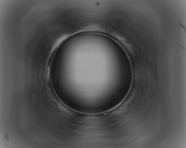 X0000093361366200710111447