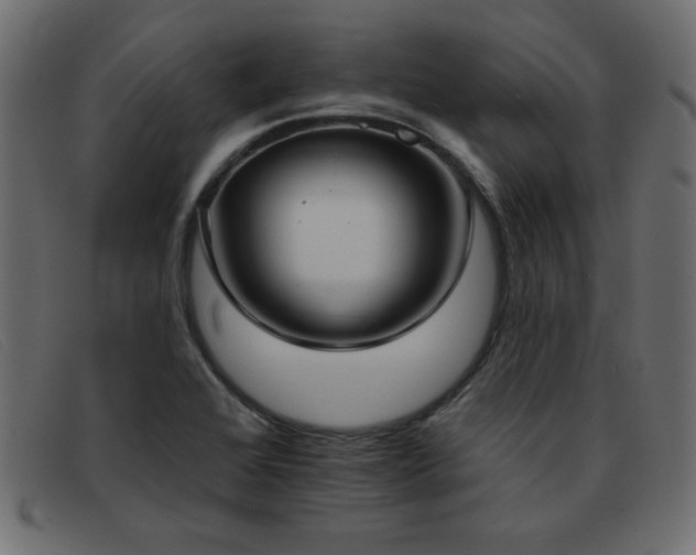 X0000093361368200710111447