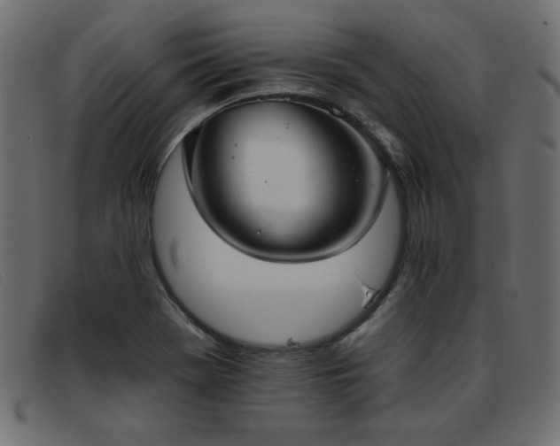X0000093361369200710111447