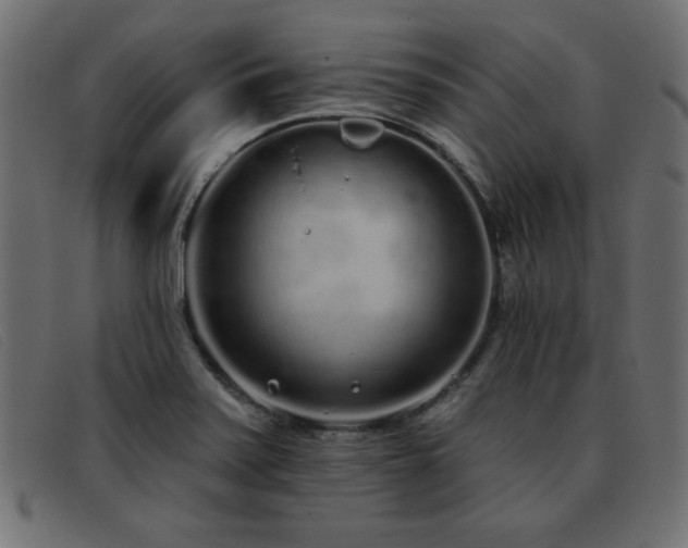 X0000093361371200710111447