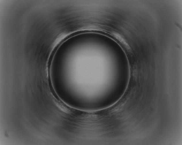 X0000093361372200710111447