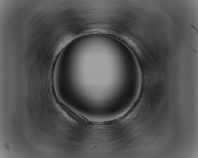 X0000093361373200710111447