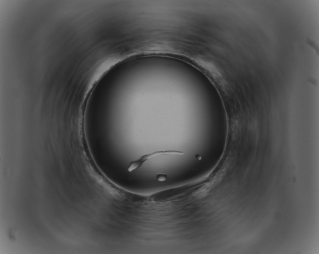 X0000093361374200710111447