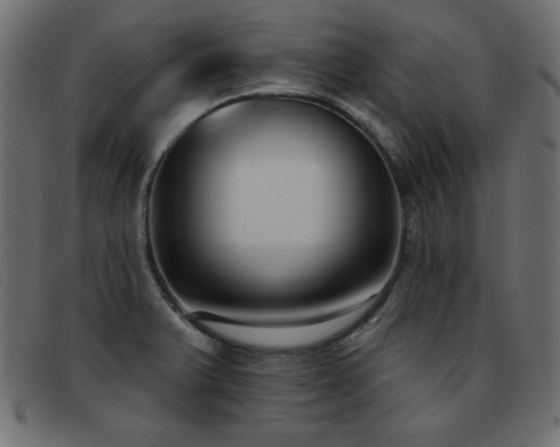 X0000093361375200710111447