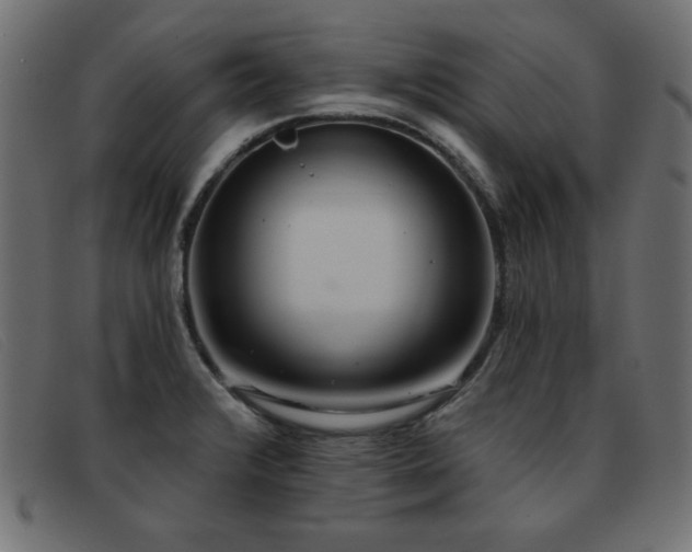 X0000093361376200710111447