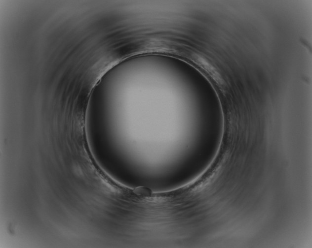 X0000093361377200710111447