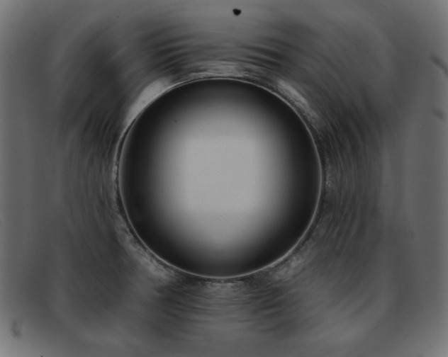 X0000093361378200710111447