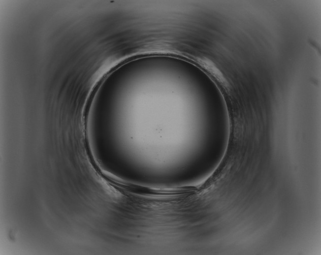 X0000093361380200710111447