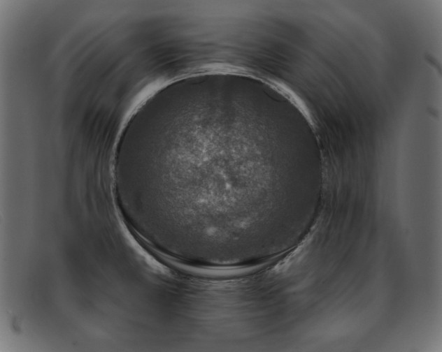 X0000093361381200710111447