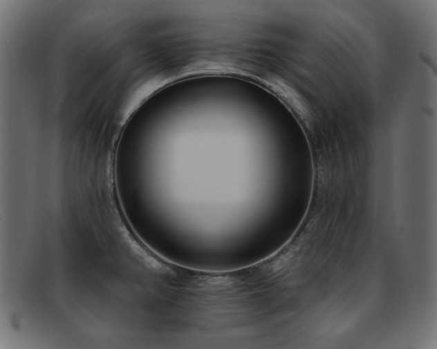 X0000093361382200710111447