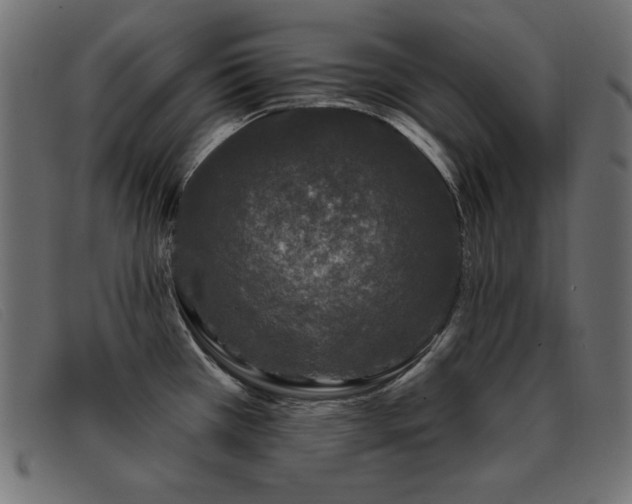 X0000093361385200710111447