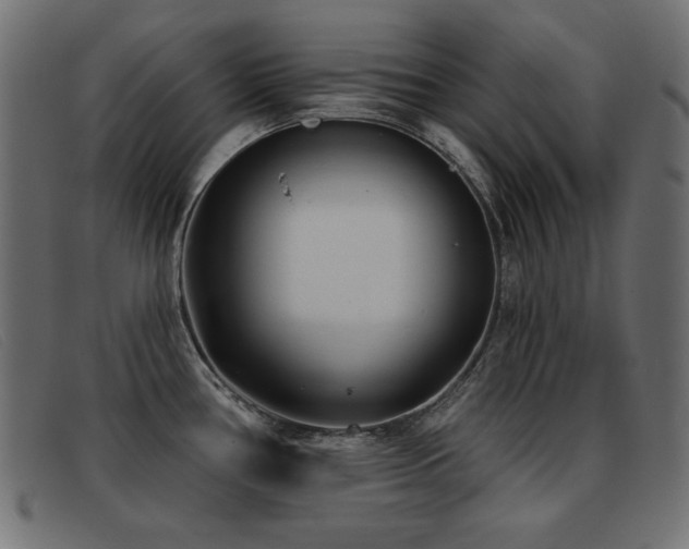 X0000093361386200710111447