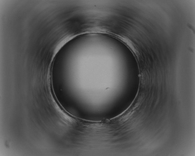 X0000093361387200710111447