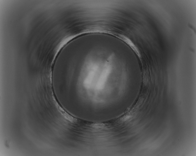 X0000093361388200710111447