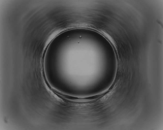 X0000093361389200710111447