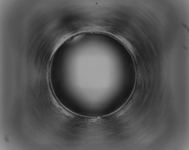 X0000093361390200710111447