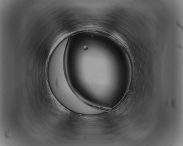 X0000093361392200710111447