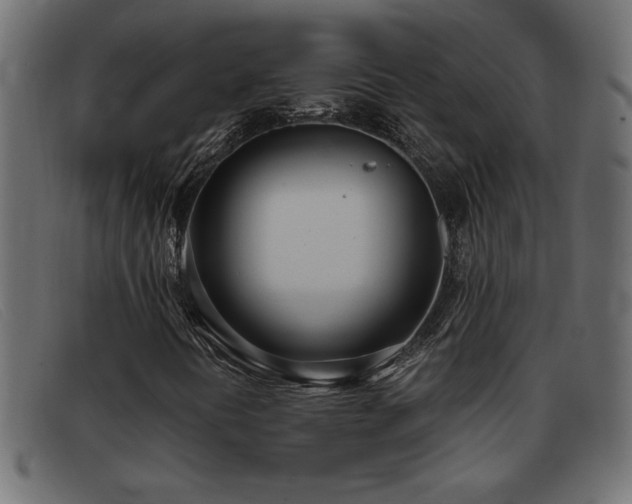 X0000093361394200710111446