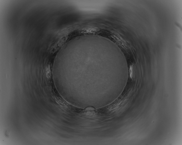 X0000093361395200710111446
