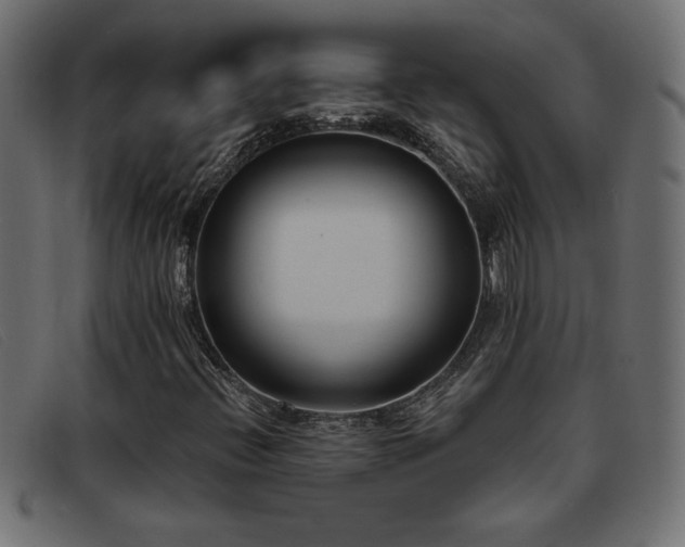 X0000093361396200710111446