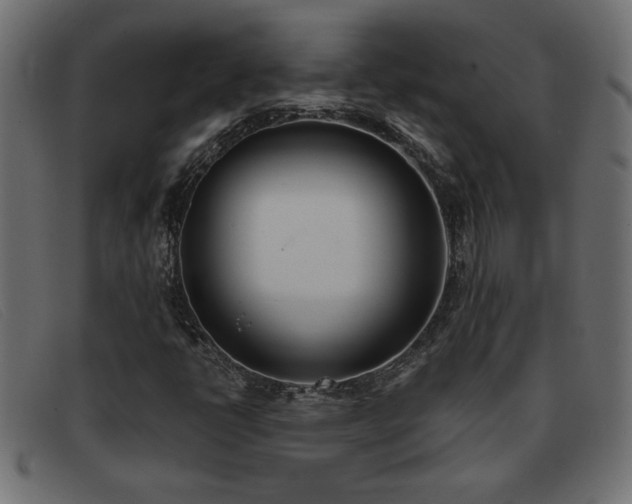 X0000093361398200710111446