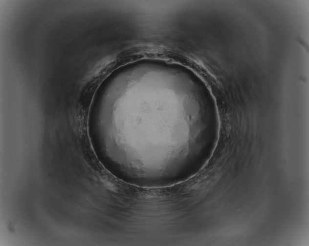 X0000093361399200710111446