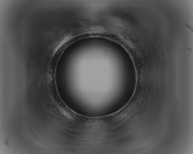 X0000093361400200710111446