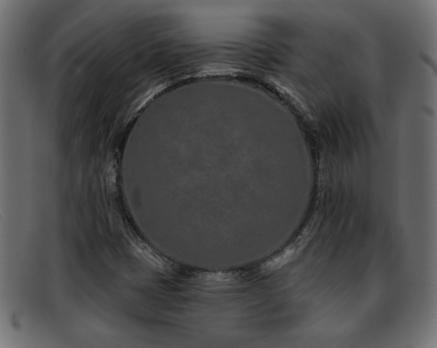 X0000093361401200710111446