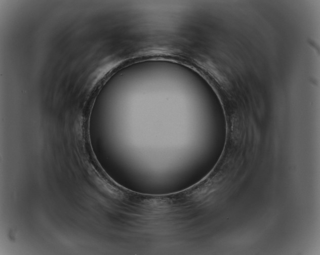 X0000093361404200710111446