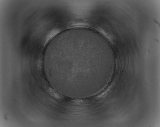 X0000093361405200710111446