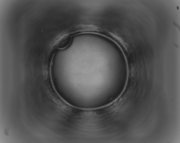 X0000093361407200710111446