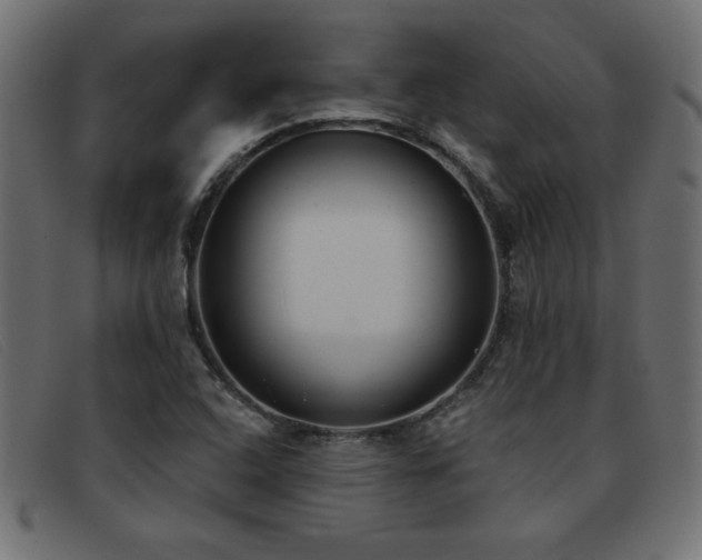 X0000093361408200710111446
