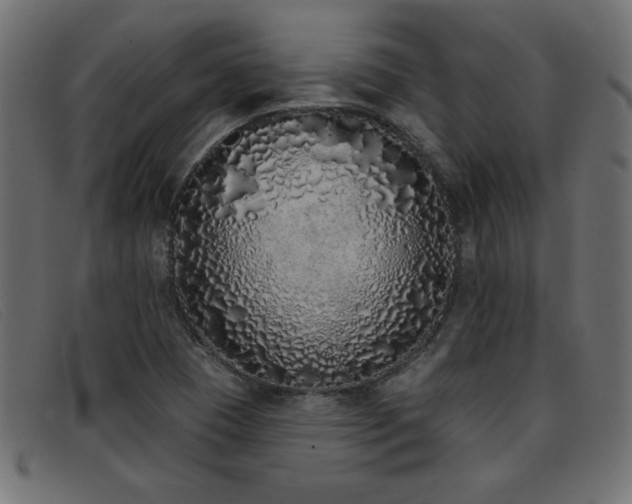 X0000093361409200710111446