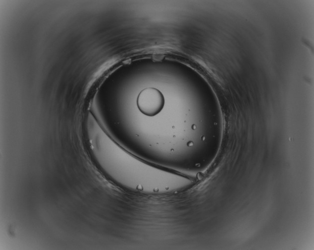 X0000093361410200710111446