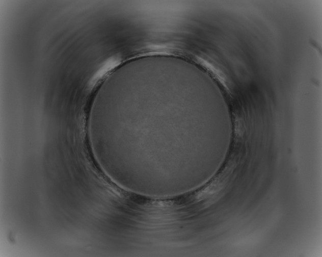 X0000093361411200710111446