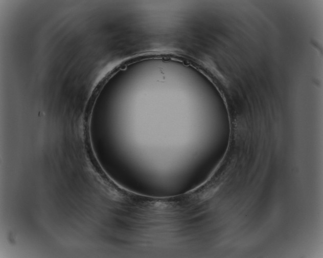 X0000093361412200710111446