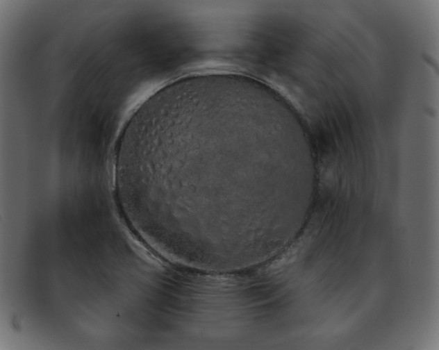 X0000093361413200710111446