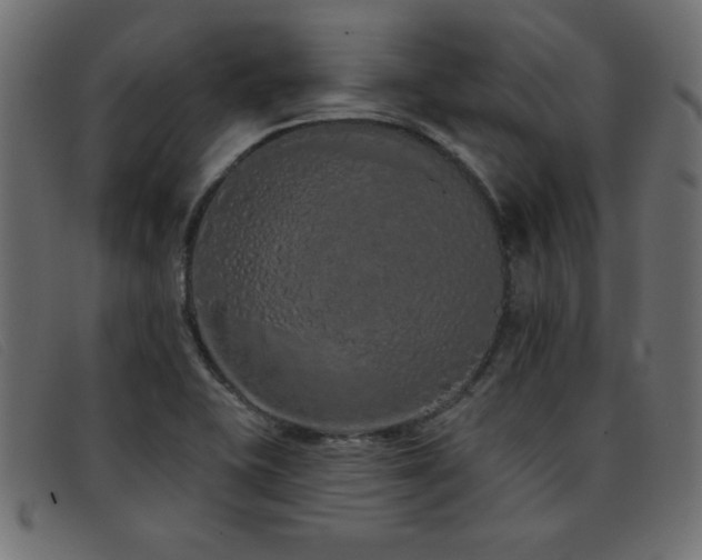 X0000093361415200710111446