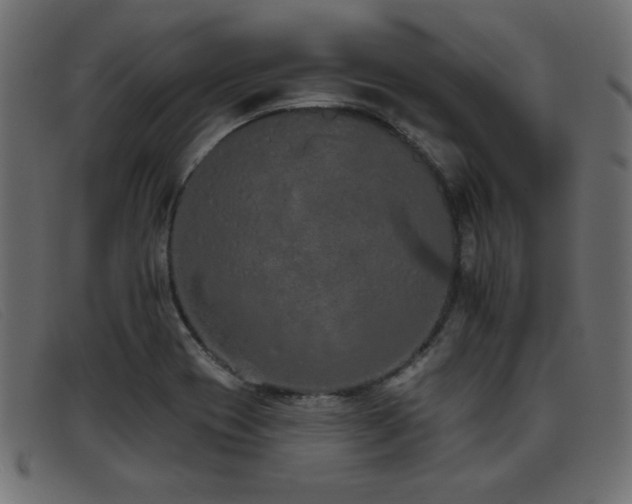 X0000093361417200710111446