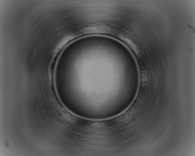 X0000093361419200710111446