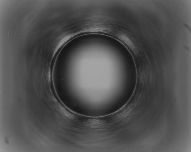 X0000093361420200710111446
