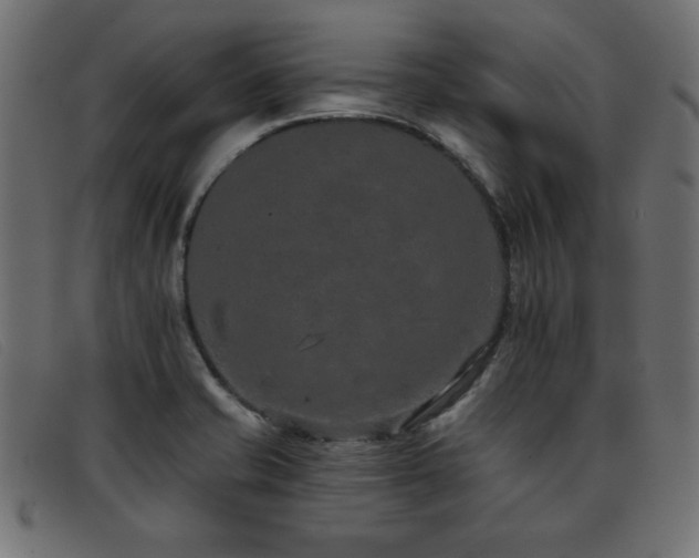 X0000093361421200710111446