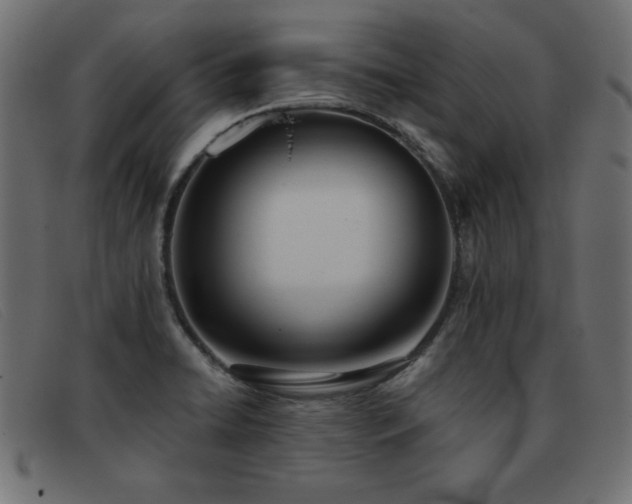 X0000093361422200710111446
