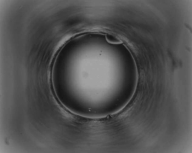 X0000093361424200710111446