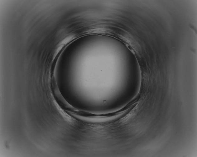 X0000093361426200710111446