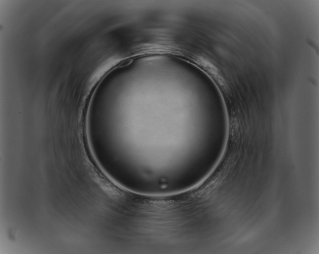 X0000093361427200710111446